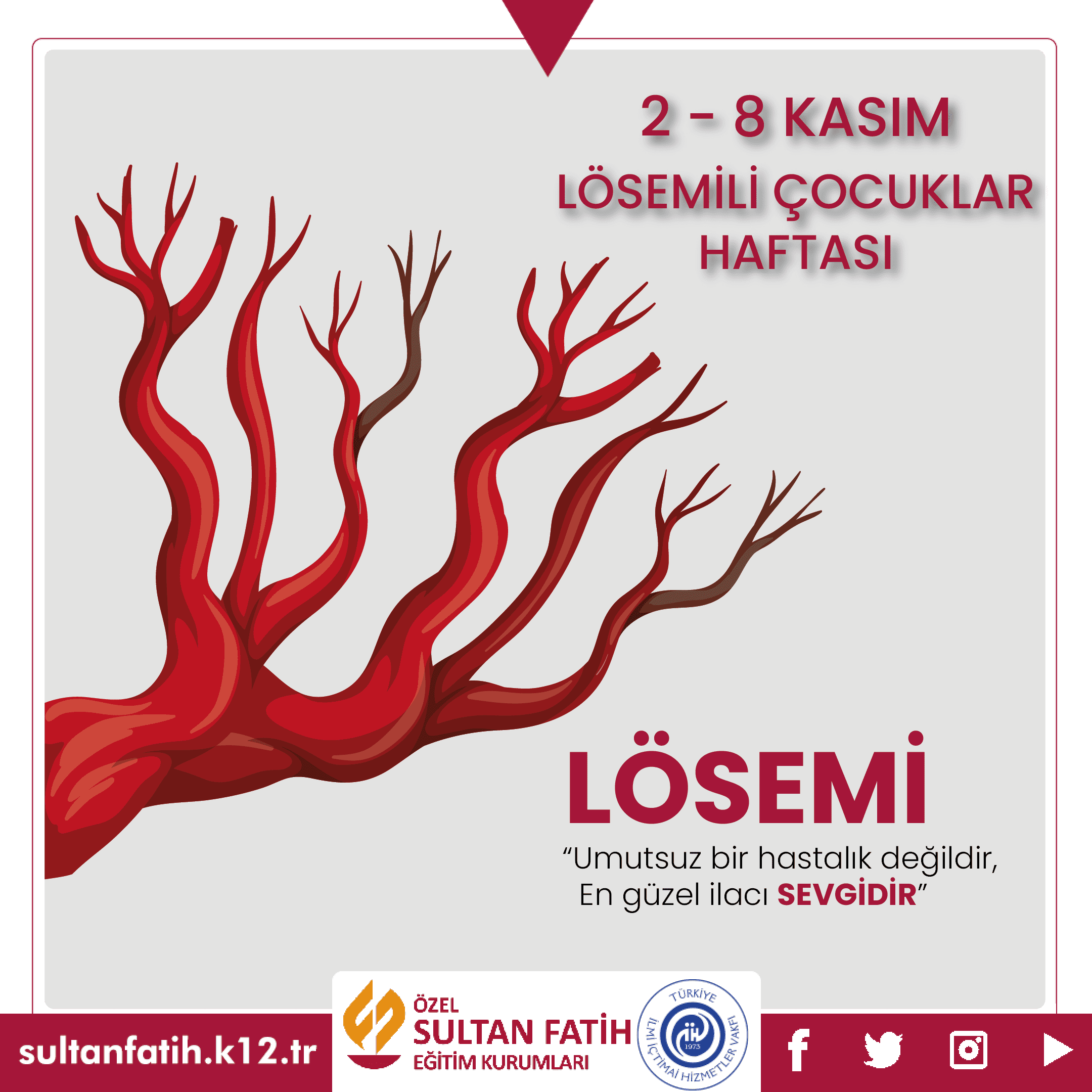 2-8 Kasım Lösemili Çocuklar Haftası